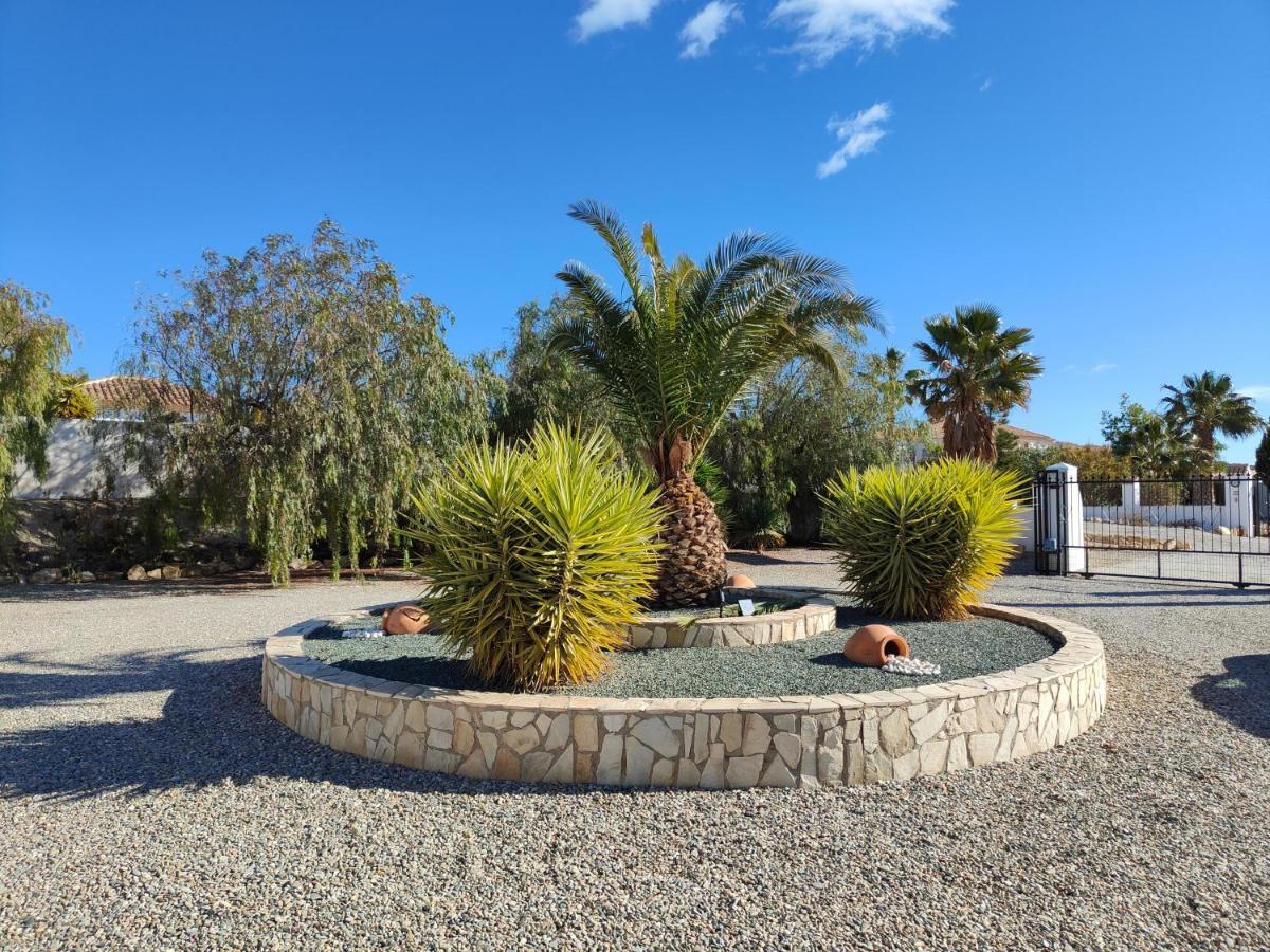 Villa Alta Vista Albox Dış mekan fotoğraf